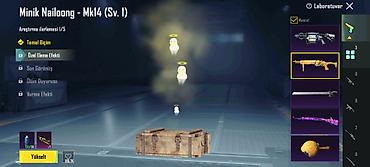 Digər: PUBG Mobile hesabı – AZE klan taglı - Platform: PUBG Mobile (qrafikdə — 15