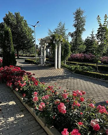 Отдых на Иссык-Куле: Коттедж, Карвен 4 сезона, Сары-Ой, 9 мест — 2