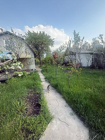 Продажа коттеджей и домов: 🔥 Продается Дача село Байтик 5 соток красная книга 📕 3 ком — 3