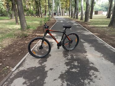 Горный велосипед, Giant, Рама L (172 - 185 см), Алюминий, Б/у