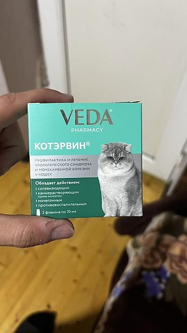 pişiklər üçün bit dərmanı: VEDA Pharmacy – KotErvin (Котэрвин) – pişiklər üçün uroloji sindrom və — 1