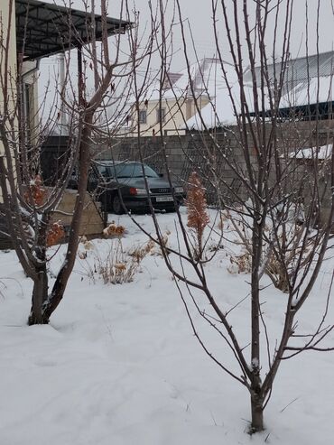 Audi: Audi 100: 1994 г., 2.6 л, Механика, Газ, Седан — 18