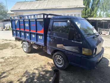 Жеңил жүк ташуучу транспорт: Жеңил жүк ташуучу унаа, Hyundai, Стандарт