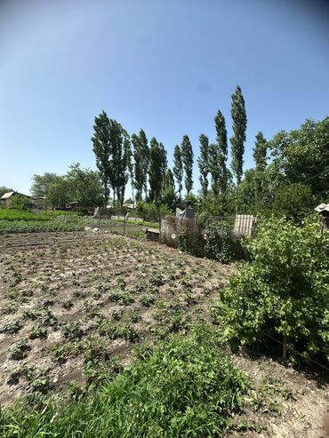 Продажа домов: Дом, 10 м², 3 комнаты, Собственник, Старый ремонт — 21