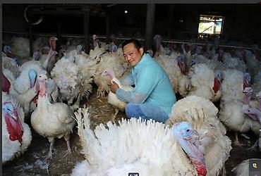 Корма для с/х животных: 🐎 Стимулятор набора веса со стволовыми клетками костный жир со — 3