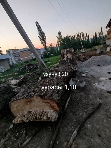мебель талас: Каражыгач сатылат