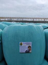 где купить кукурузу для попкорна в бишкеке: А/ч жаныбарлары үчүн тоюттар