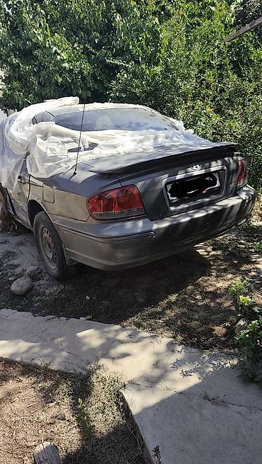 колба для фильтра: Hyundai Sonata: 2003 г., 0.2 л, Автомат, Бензин, Седан — 1