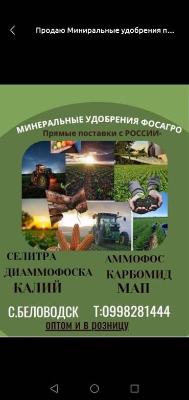 аммофос казфосфат цена: Продаю минеральные удобрения прямые поставки с России