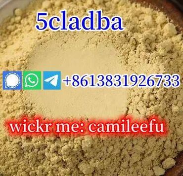 Whatsapp/signal/telegram: 

wickr me: camileefu