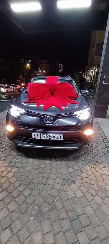 Организация мероприятий: Организация мероприятий | Гелевые шары, Ведущий, тамада, Аниматоры — 27