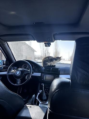 авто полироль: BMW 5 series: 2001 г., 3 л, Механика, Бензин, Седан — 5