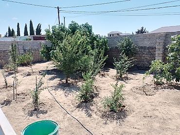 mingecevirde ev: Maştağada Albalı bağlarında 5 sotun içində 4 otaqlı kupçalı bağ evi — 8