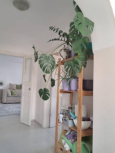 Продажа коттеджей и домов: Продаётся чудесный, тёплый и уютный дом! Участок — 10 соток — 5