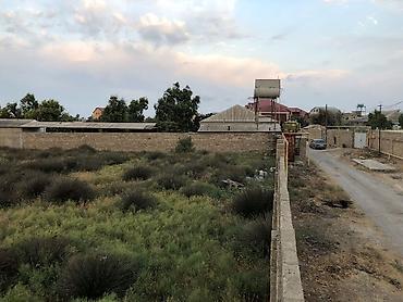 gen: 50 sot, Tikinti, Kupça (Çıxarış) — 9