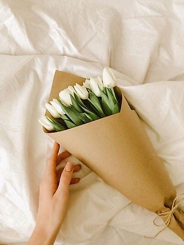 Организация мероприятий: Организация мероприятий | Аниматоры, Гелевые шары, Букеты, флористика — 4