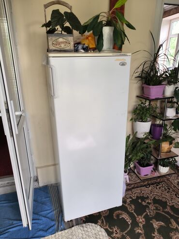 холодильник для машина: Холодильник Atlant, Б/у, Однокамерный