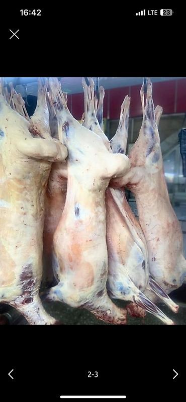 баранина: — свежее мясо, произведено в Кыргызстане. Строгий контроль качества — 1