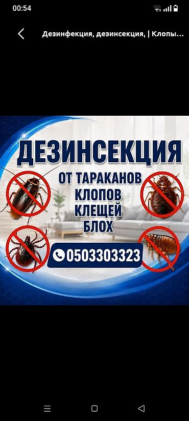 Дезинфекциялоо, дезинсекциялоо: Дезинфекциялоо, дезинсекциялоо, | Таракандар, | Батирлер — 2