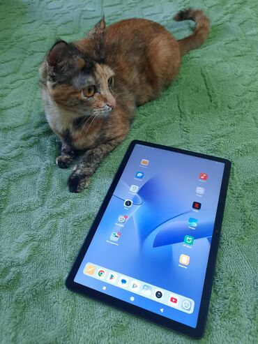 переходник для жесткого диска ноутбука: Планшет, Xiaomi, эс тутум 256 ГБ, 10" - 11", Wi-Fi, Колдонулган, Классикалык түсү - Боз