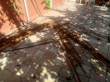 8lik Katinka Satılır 41 ədəd di uzunu 5 metrəyə kimidir, istifadə lalafo.az -da 8lik Katinka Satılır 41 ədəd di uzunu 5 metrəyə kimidir, istifadə