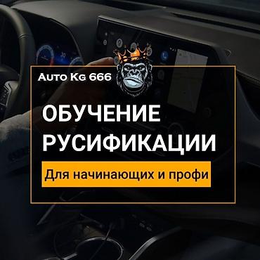 Другие курсы: Обучение русификации автомобилей — готовая система для новичков и — 1