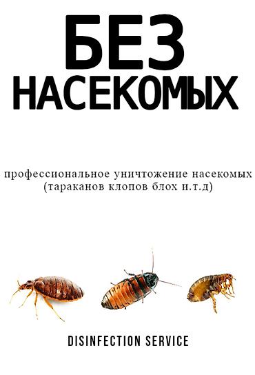 Дезинфекция, дезинсекция: Дезинфекция, дезинсекция, | Клопы, | Квартиры, Офисы, Транспорт — 2
