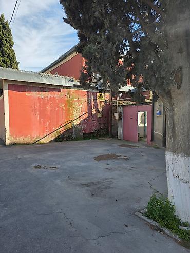 Həyət evləri və villalar: 6 otaqlı, 99 kv. m, Orta təmir — 3
