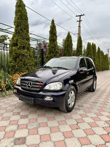 продаю мерс сешка: Mercedes-Benz M-Class: 2001 г., 4 л, Автоматтык, Дизель, Жол тандабас
