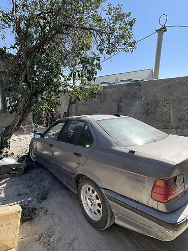 bmw e29: BMW 3 series: 1994 г., 1.6 л, Механика, Бензин, Седан — 5