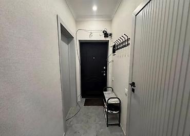 66: 1 комната, 52 м², Элитка, 9 этаж, Евроремонт — 8