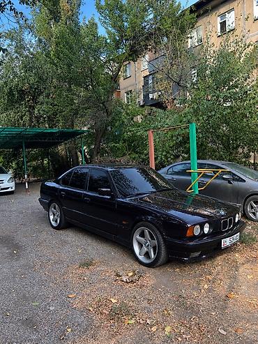 e 30 bmw: BMW 5 series: 1993 г., 2.5 л, Механика, Бензин, Седан — 8