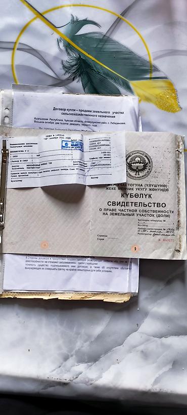 Продажа участков: 100 соток, Для сельского хозяйства — 8