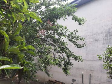 Həyət evləri və villaların satışı: 6 otaqlı, 165 kv. m — 2