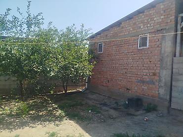 Дома: Продаётся дом из трёх комнат в селе Красная речка. Кухня и санузел — 10
