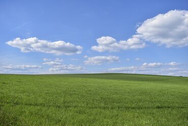 участки в арча бешике: Для сельского хозяйства