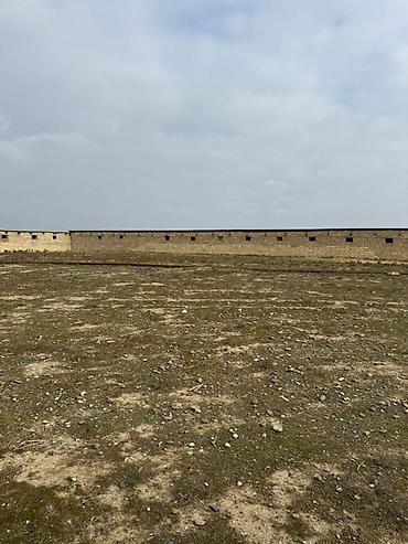 İcarəyə binalar: Torpaq sahəsi icarəyə verilir. Hövsan qəsəbəsində yerləşən ferma — 5