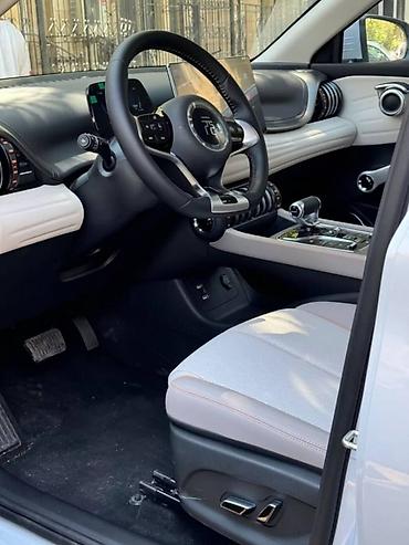 BYD: BYD : 2024 г., Электромобиль, Кроссовер — 10