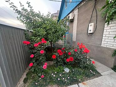 Продаётся частный дом с ухоженным участком. - Дом одноэтажный at lalafo.kg — 9 Продаётся частный дом с ухоженным участком. - Дом одноэтажный — 9