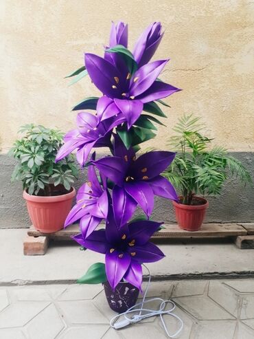 Другие услуги: Другие услуги — 8