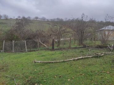 Torpaq sahələrinin satışı: 20 sot, Tikinti, Mülkiyyətçi, Kupça (Çıxarış), Texniki pasport — 23