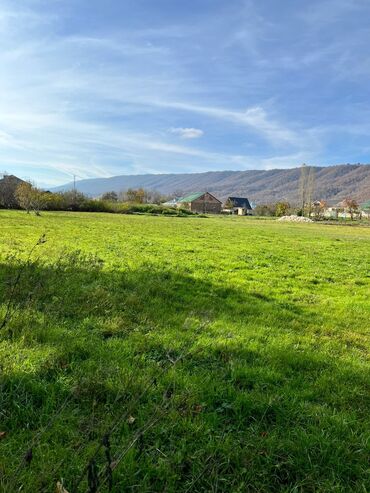 Torpaq sahələrinin satışı: 18 sot, Biznes üçün, Kupça (Çıxarış) — 12