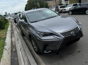 капот nx: Lexus NX: 2018 г., 2 л, Автомат, Бензин, Кроссовер
