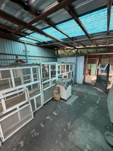 Продажа домов: Дом, 78 м², 2 комнаты, Собственник, Косметический ремонт at lalafo.kg — 20 Продажа домов: Дом, 78 м², 2 комнаты, Собственник, Косметический ремонт — 20