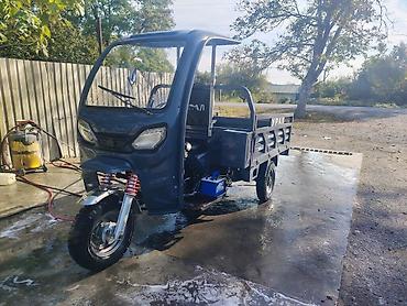 ford fusion service: Ural — 7