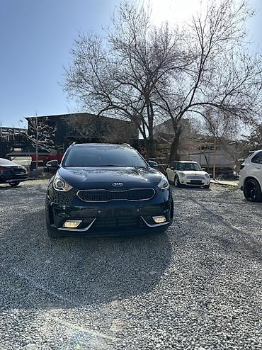 Kia: Kia Niro: 2017 г., 1.6 л, Автомат, Гибрид, Кроссовер — 1