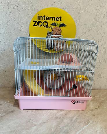 Зоотовары: Продаются клетки для хомячков, кроликов, морских свинок, ежей. Есть — 11