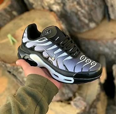 Patike: Nike TN
Cena: 3.300
Brojevi: 36-46 — 8