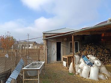 Torpaq sahələrinin satışı: 25 sot, Kənd təsərrüfatı, Mülkiyyətçi, Kupça (Çıxarış) -da lalafo.az — 12 Torpaq sahələrinin satışı: 25 sot, Kənd təsərrüfatı, Mülkiyyətçi, Kupça (Çıxarış) — 12