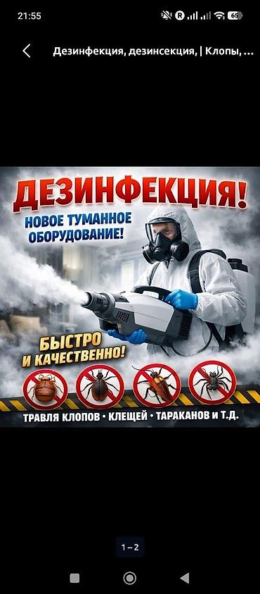 Дезинфекция, дезинсекция, | Клопы, | Квартиры at lalafo.kg Дезинфекция, дезинсекция, | Клопы, | Квартиры